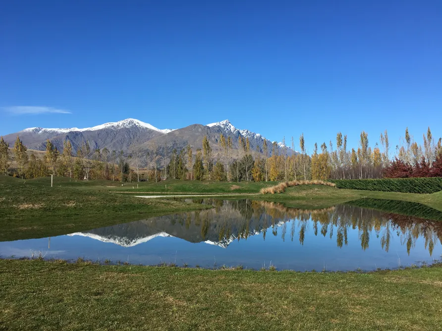 Reflections 8