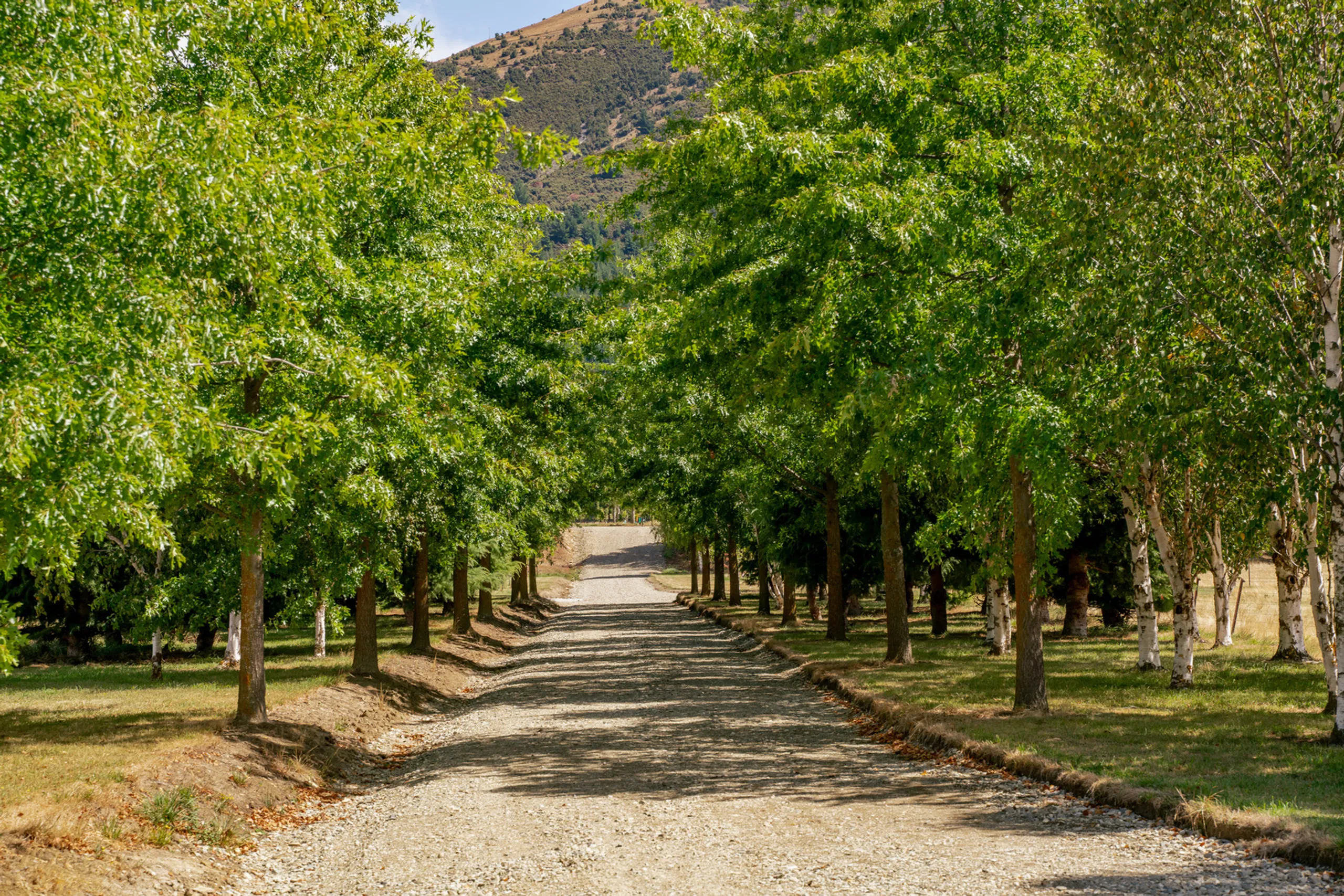 51 Grayburn Lane, Wanaka, Wanaka NZ Sotheby’s Realty NZW10939