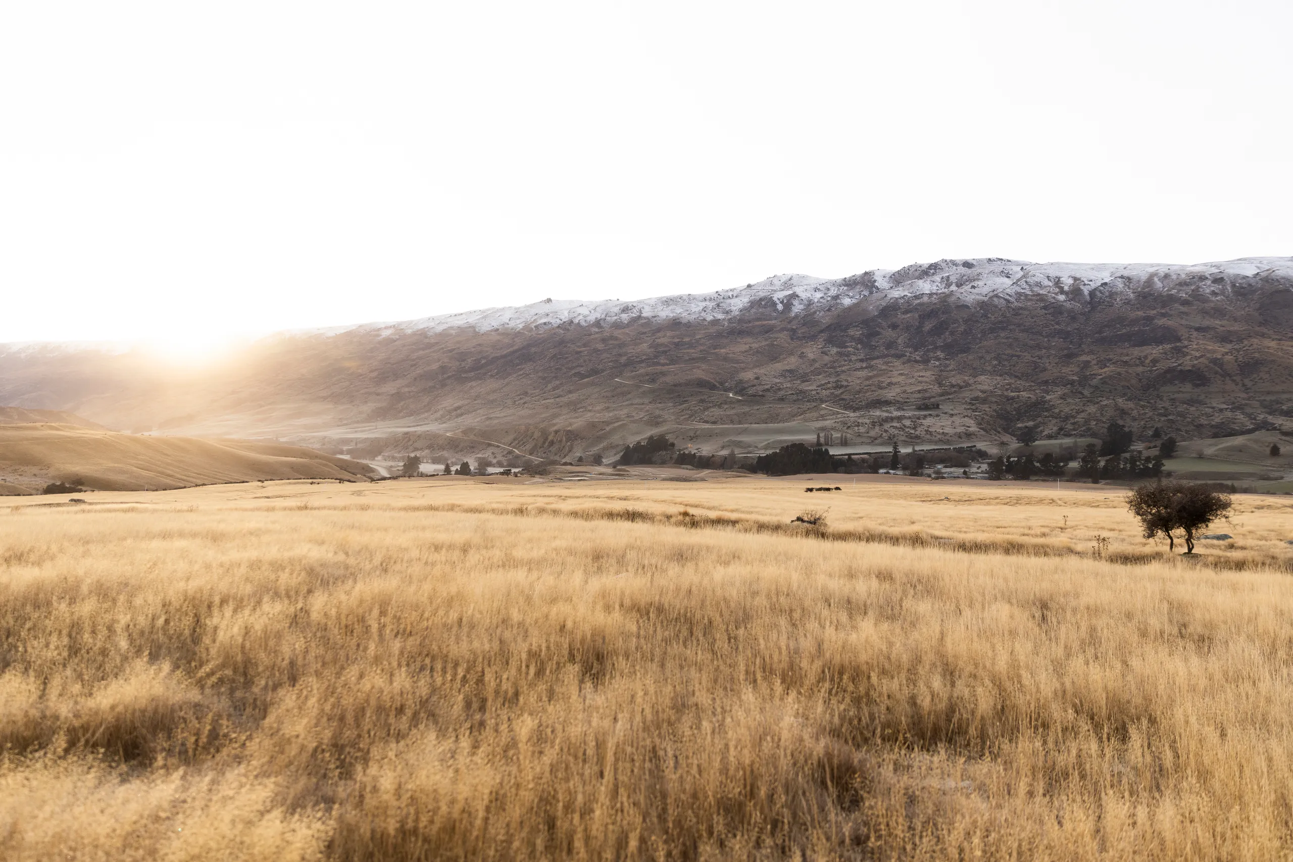 Lot 205 Little Meg Lane, Cardrona, Central Otago