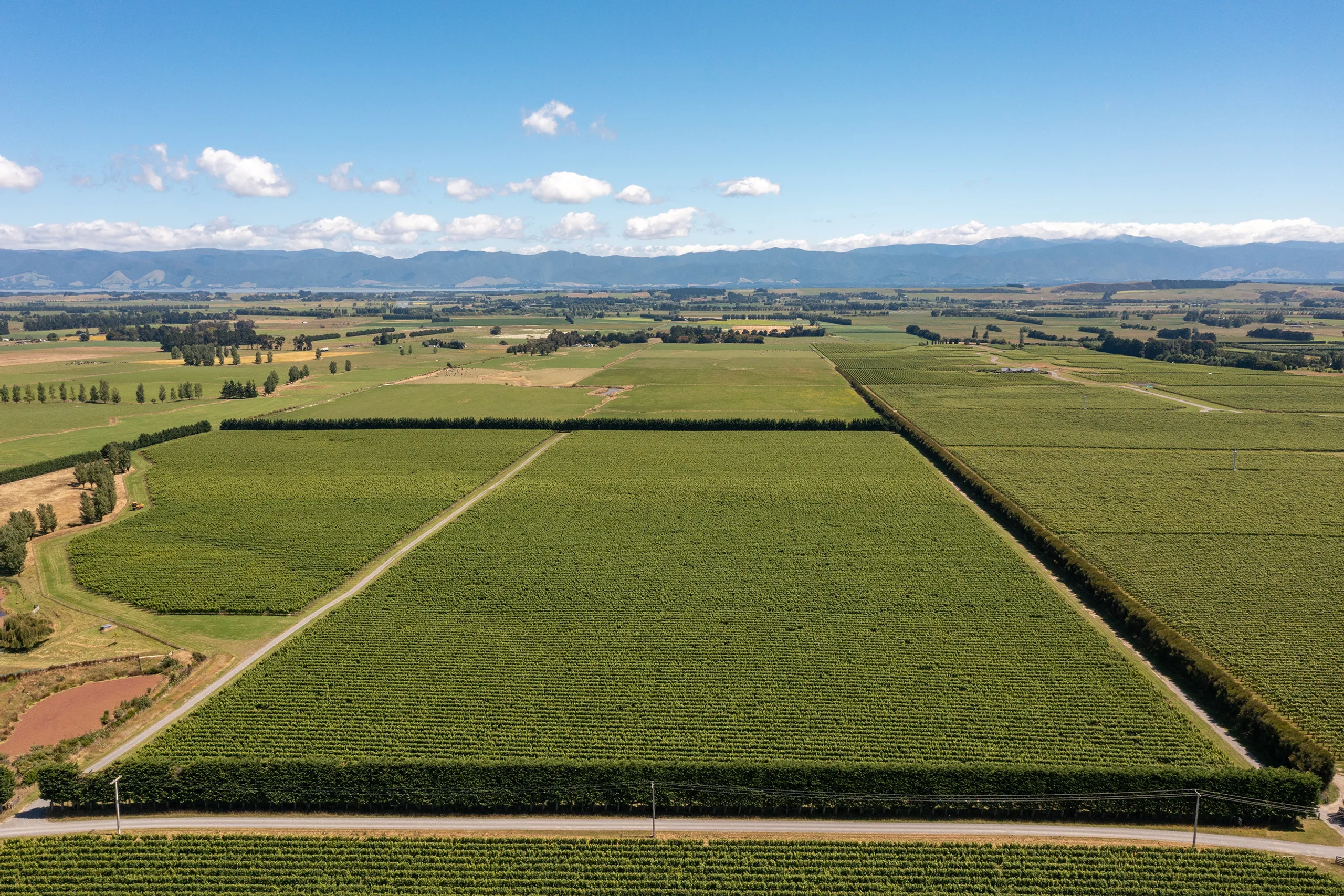 Lot 20 Vineyard Lane, Martinborough, South Wairarapa