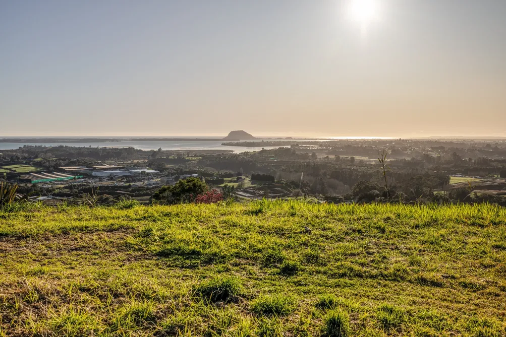 213E Minden Road, Minden, Tauranga NZ Sotheby’s Realty NTTG00898