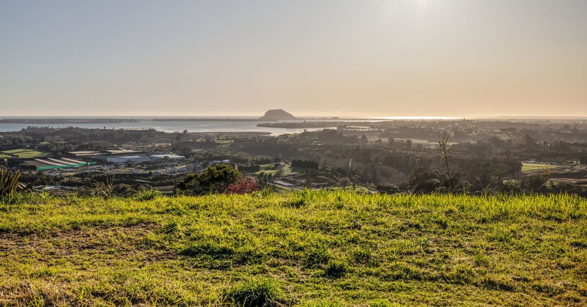 213E Minden Road, Minden, Tauranga NZ Sotheby’s Realty NTTG00898