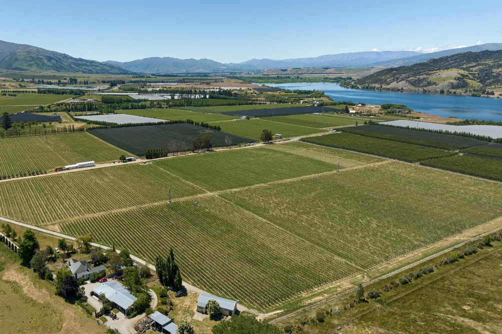 Premium Central Otago Vineyard - Rare Opportunity 