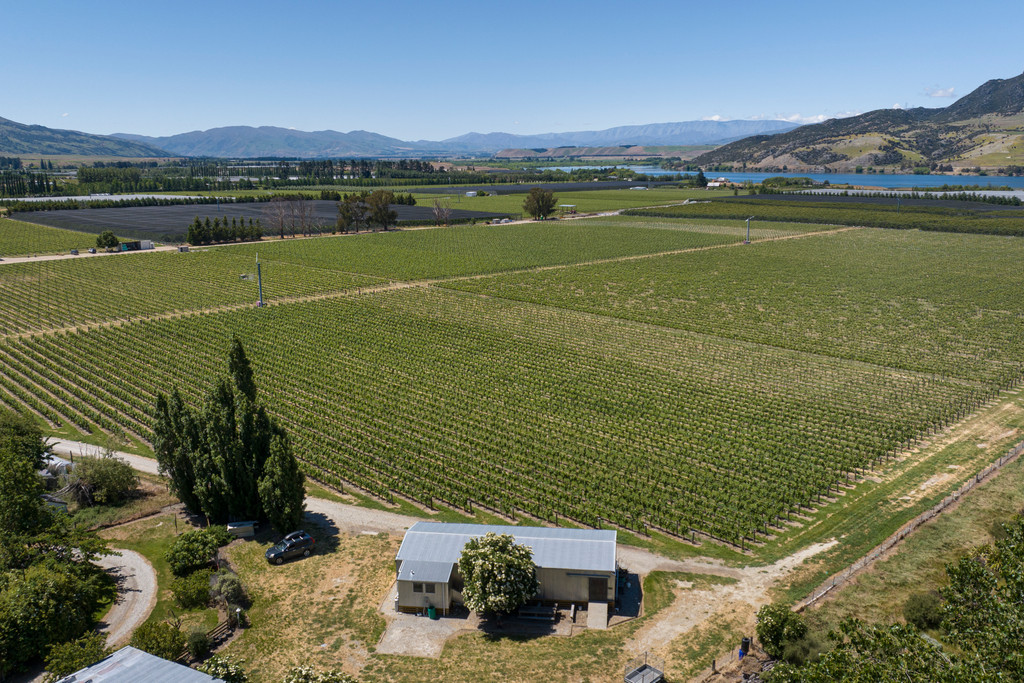 Premium Central Otago Vineyard - Rare Opportunity 