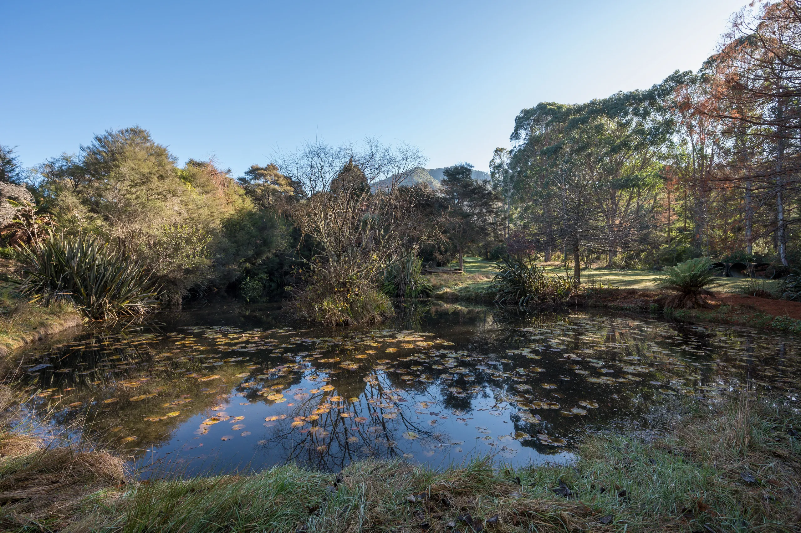 168 Graham Valley Road, Motueka, Tasman