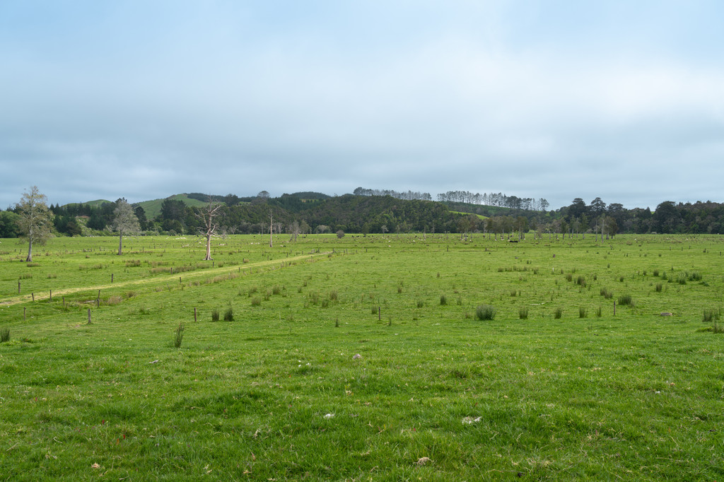 Crop - Graze - Build