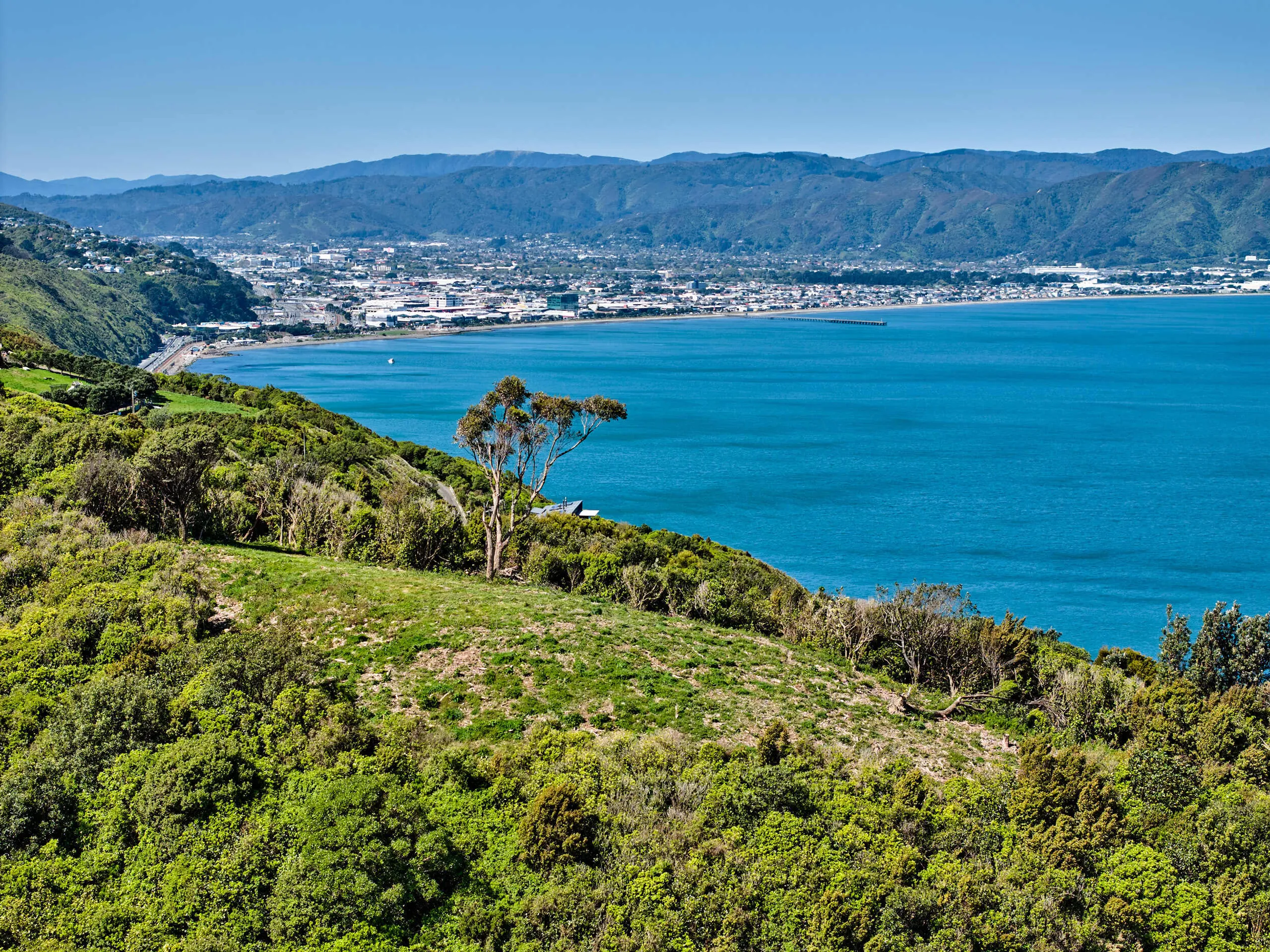 50 Dungarvan Road, Newlands, Wellington City