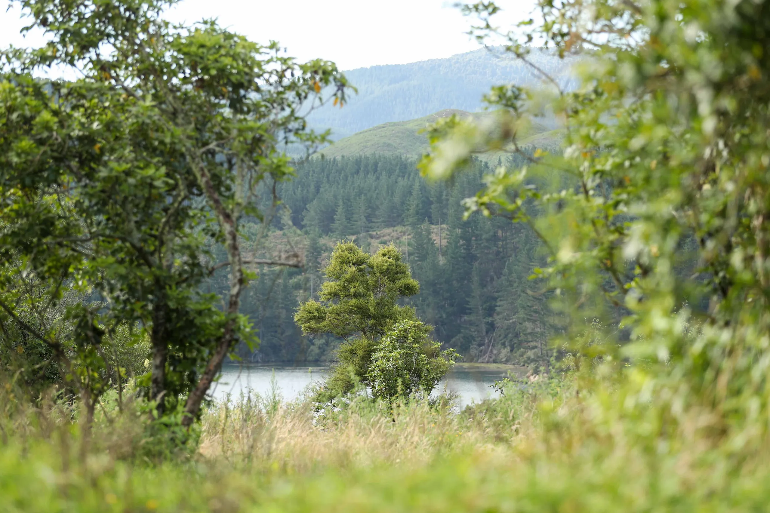 Lot 3 1066 Ohakuri Road, Atiamuri East, Rotorua