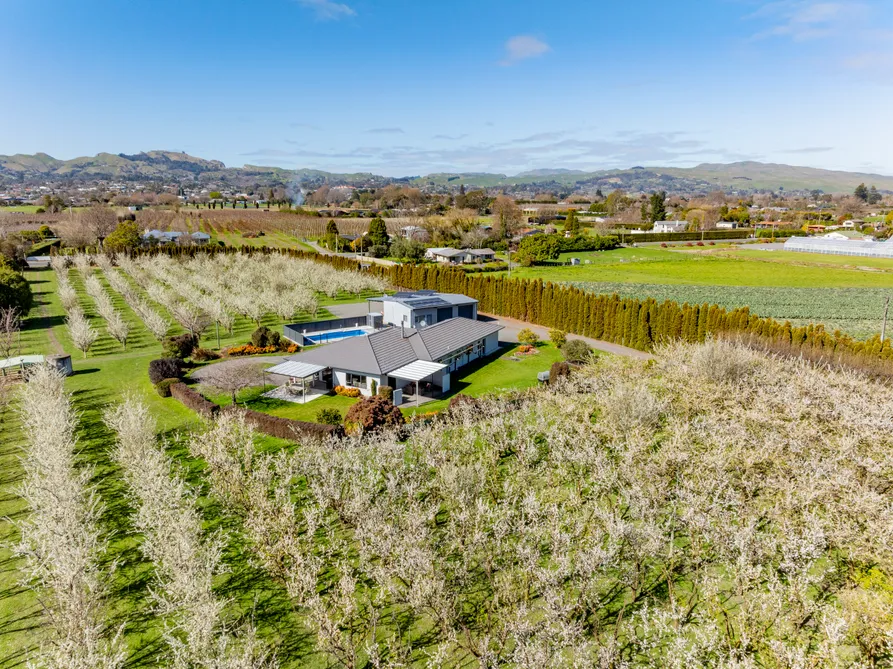 Location, Land, Shedding