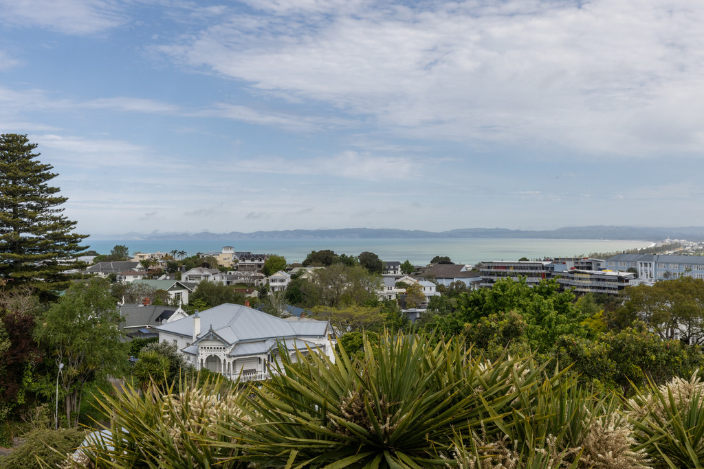 A Rare Opportunity on Bluff Hill