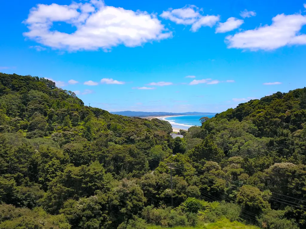 DJI_0546-2