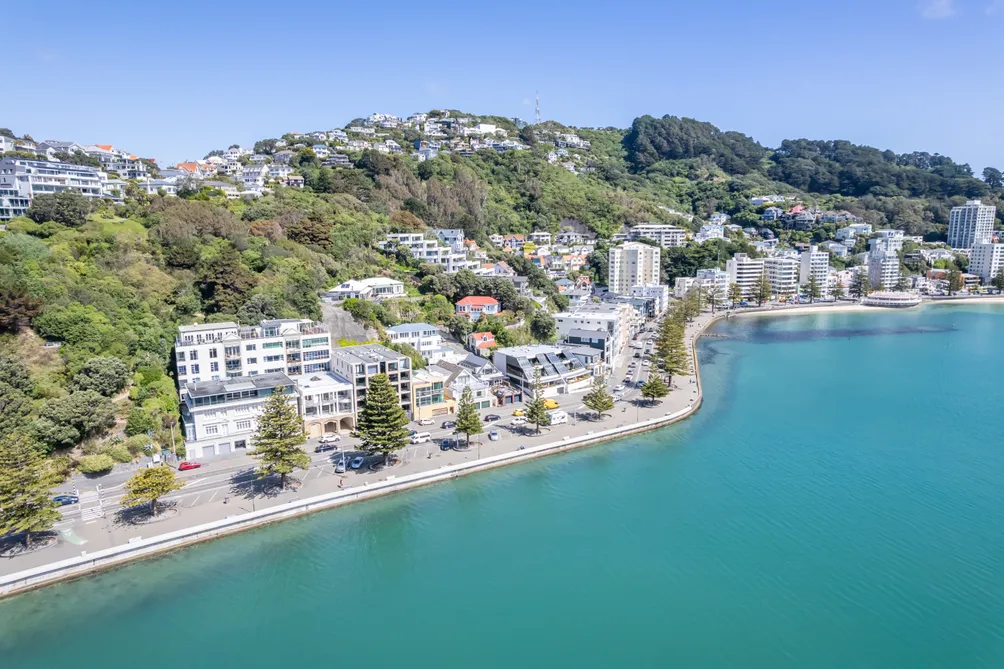 Best Entry Level In Oriental Bay