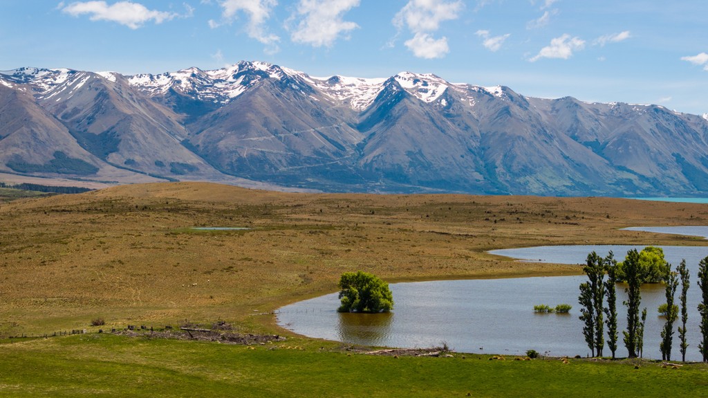 Lagoon Block - Ohau Downs Station