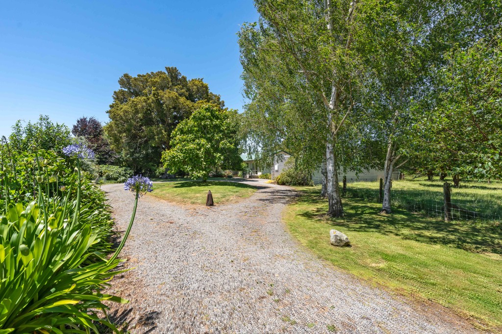 Idyllic Kuratawhiti Street Lifestyle