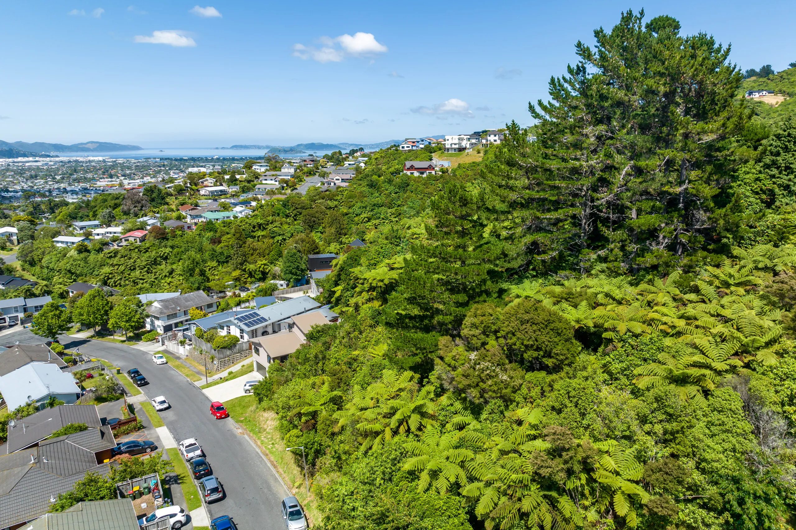 7 Picasso Grove, Belmont, Lower Hutt City