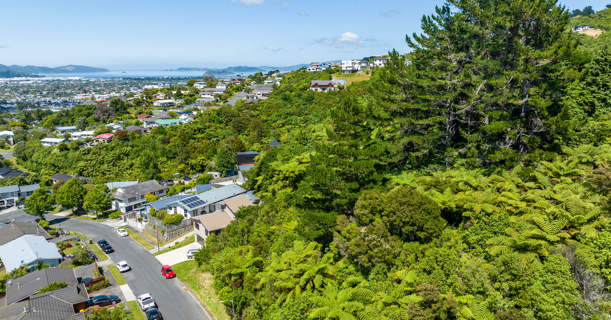 7 Picasso Grove, Belmont, Lower Hutt City NZ Sotheby’s Realty WTN10637