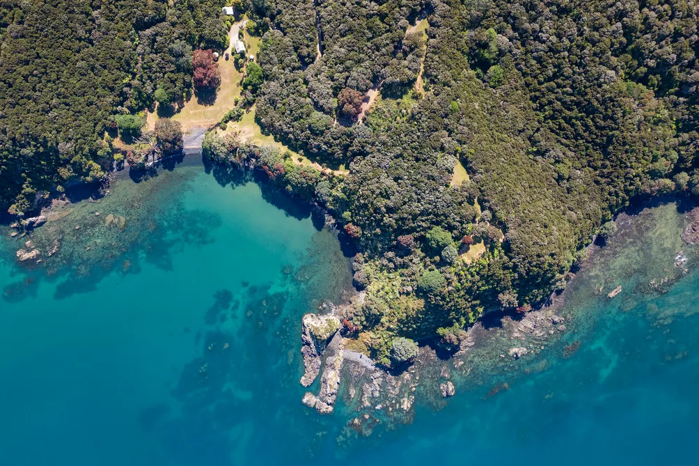 Paradise Found! 40 ha Native Bush with Private Bay