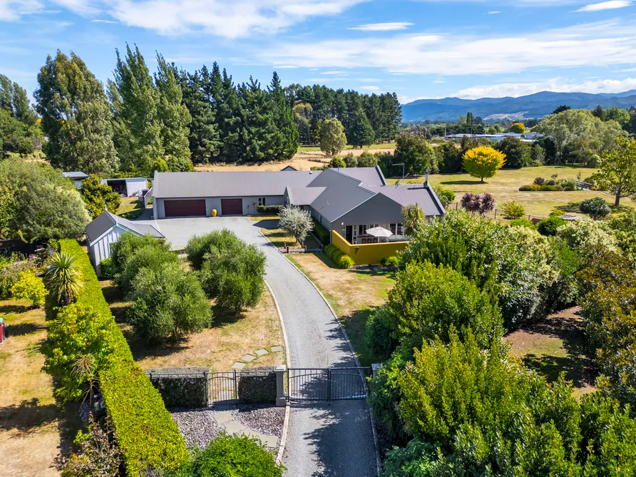 Limited Time Offer - Act Now