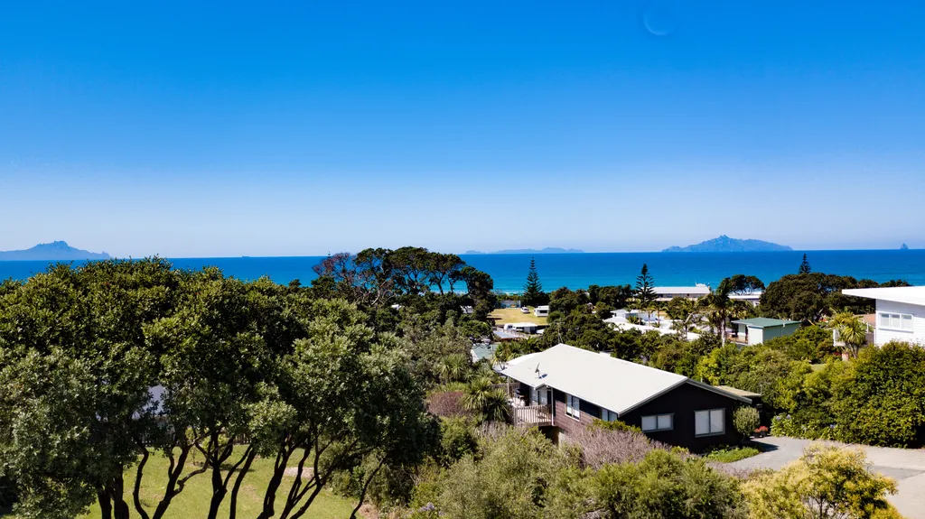 Rare, Elevated, Find In Waipu Cove