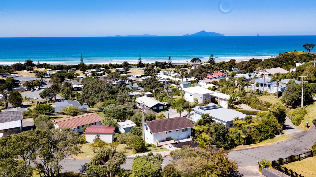 Rare, Elevated, Find In Waipu Cove