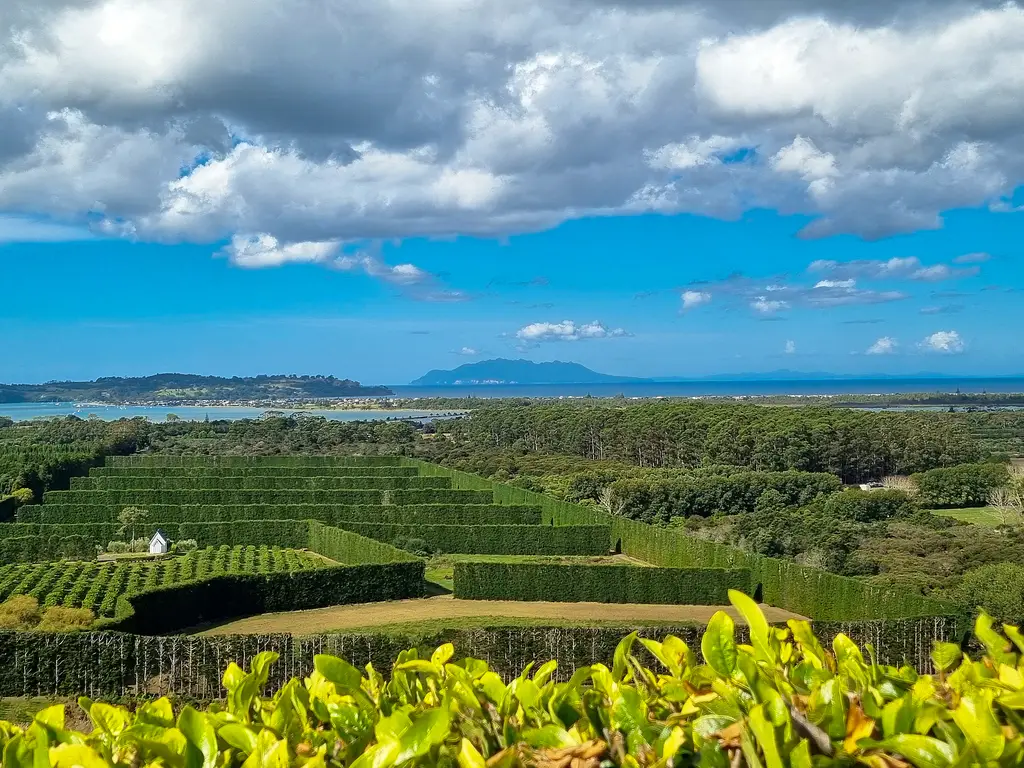 Auckland North Shore real estate agents Homes for sale Auckland North