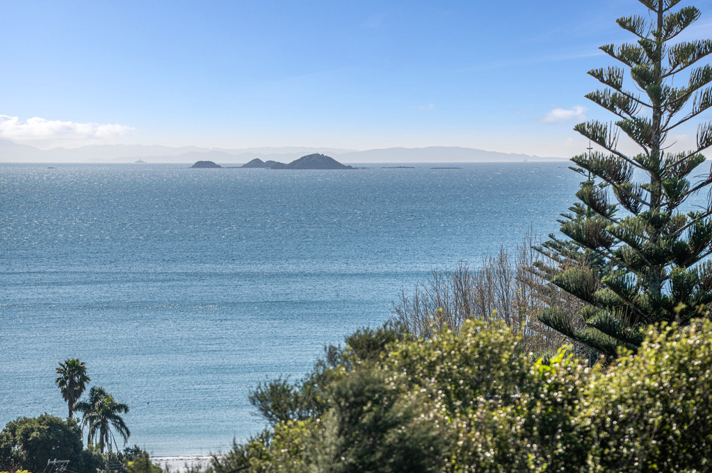 The Potency of Palm Beach's Golden Slopes