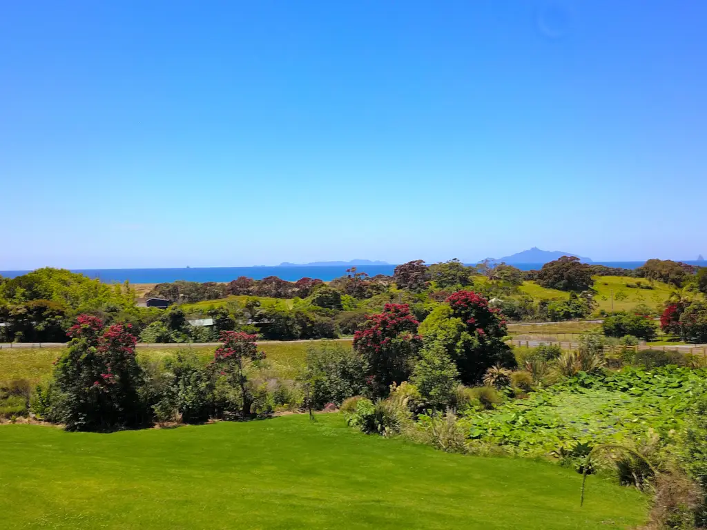 DJI_0571-2