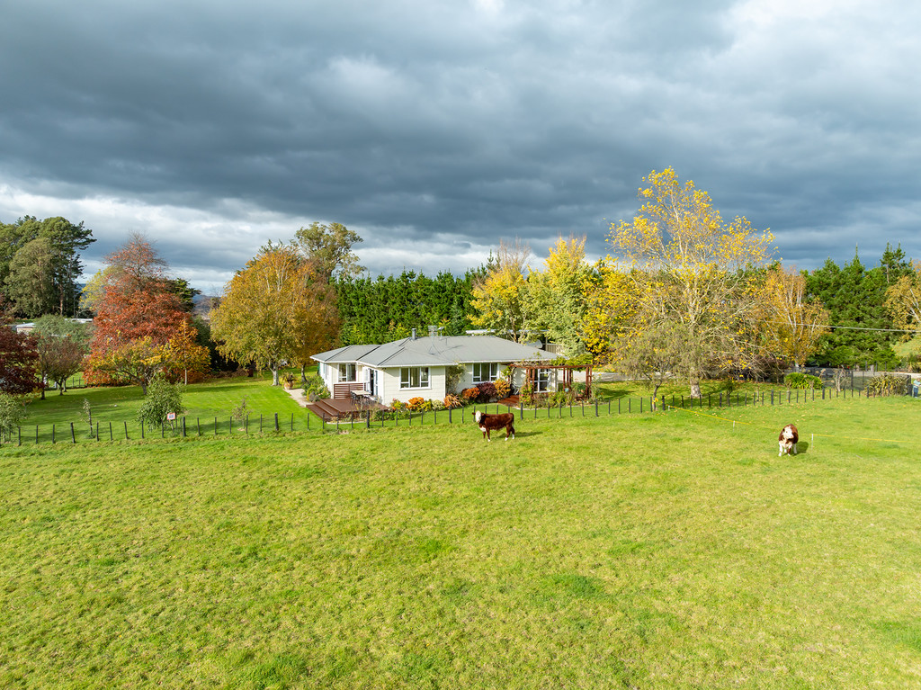 Wairarapa Lifestyle Haven