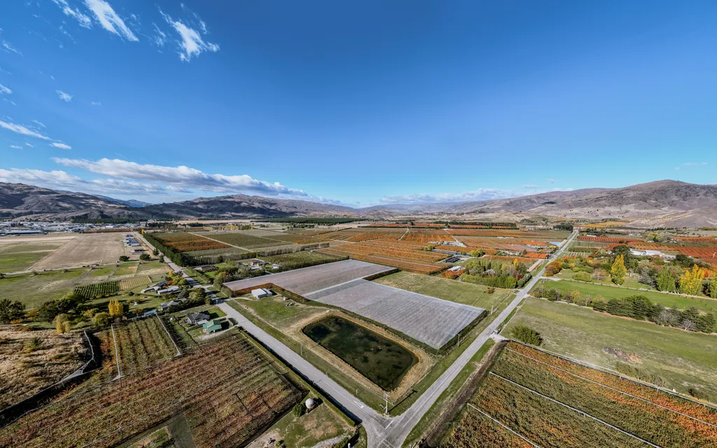Mature Orchard and Land Development Opportunity
