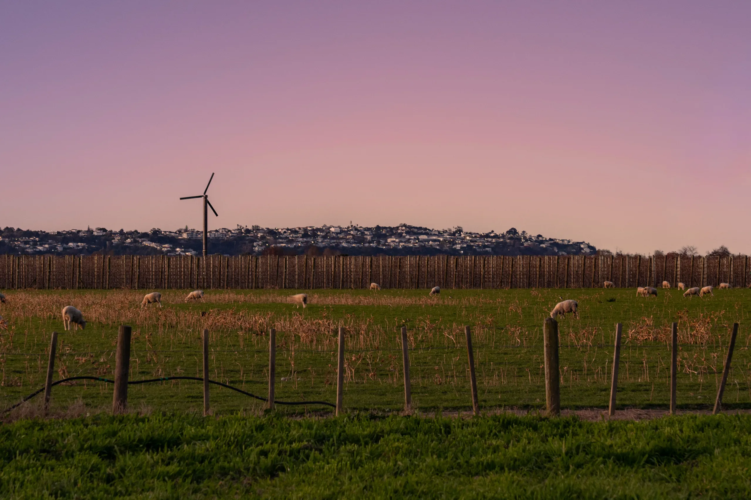 240 Meeanee Road, Meeanee, Napier
