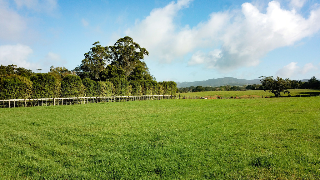 Start Your Waipu Life Here