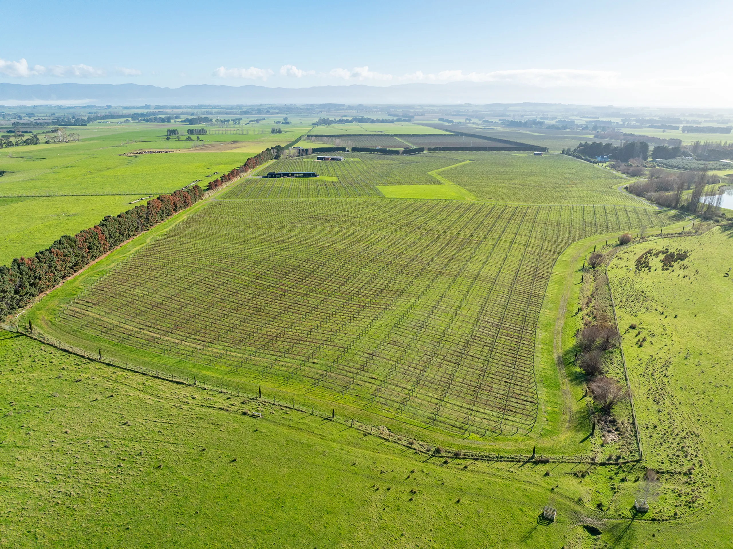 Lot 2 Vineyard Lane, Martinborough, South Wairarapa