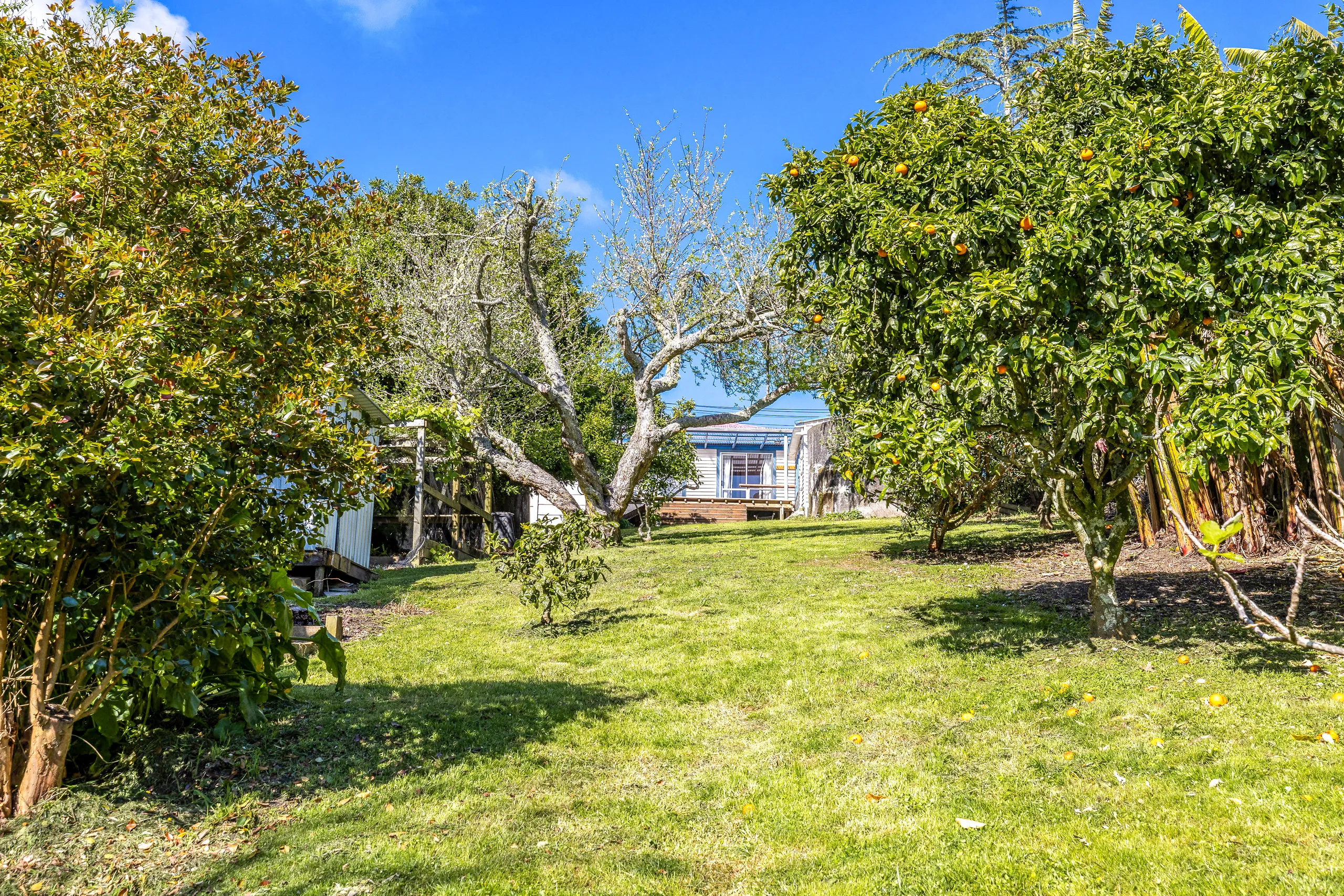 8 Tahatai Road, Oneroa, Waiheke Island