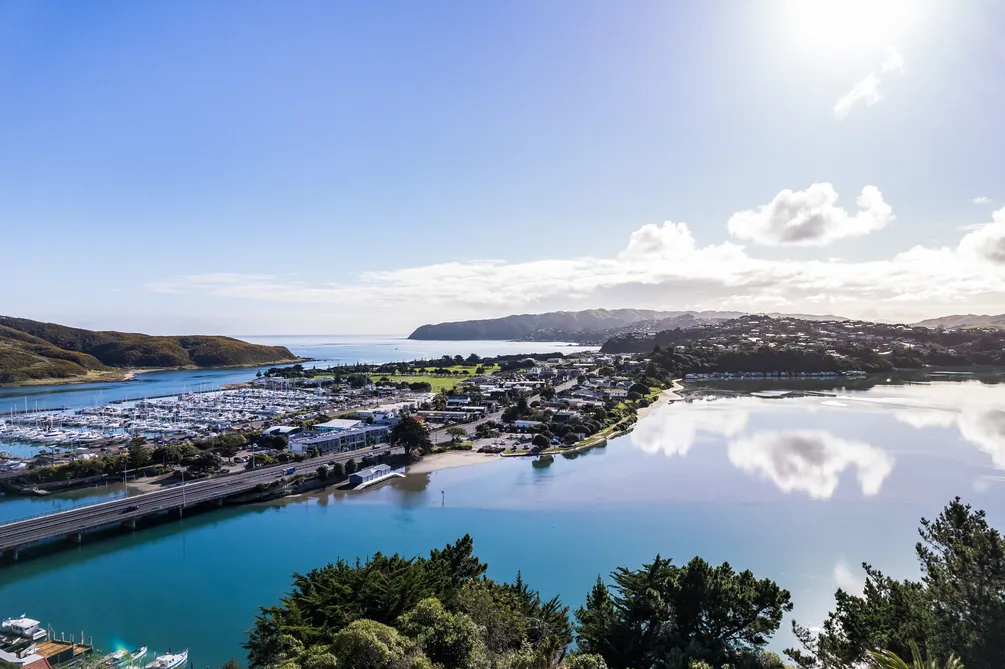 Kiriwai Vistas