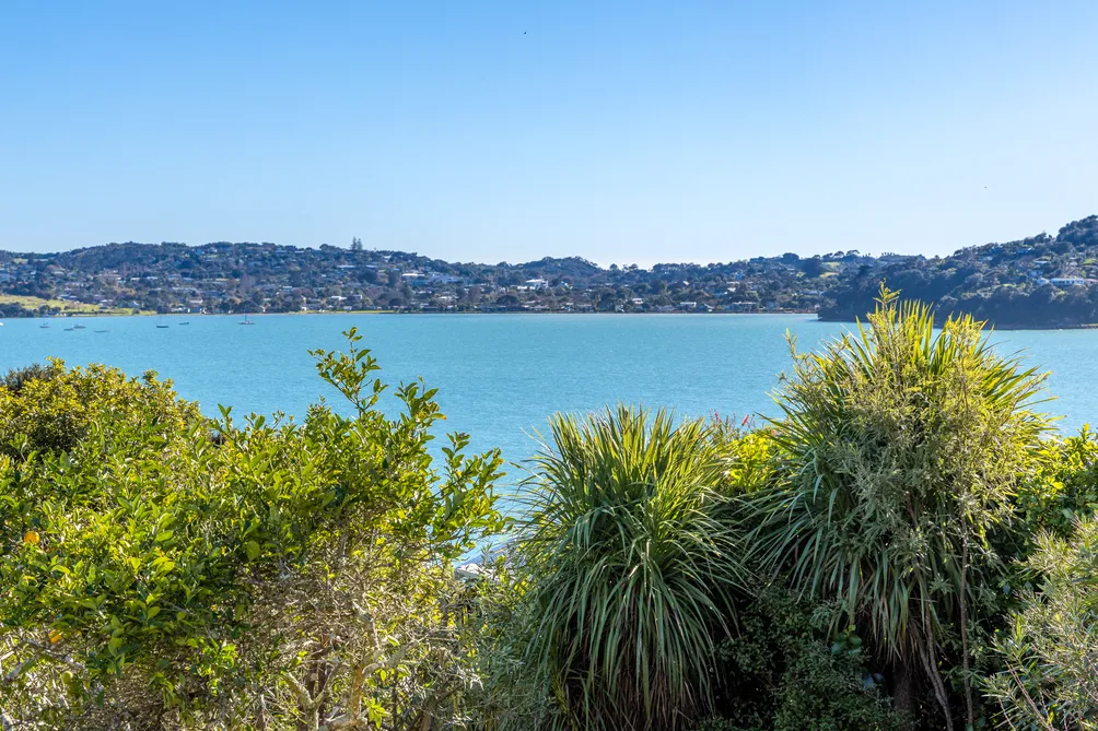 Your Waiheke Island Opportunity