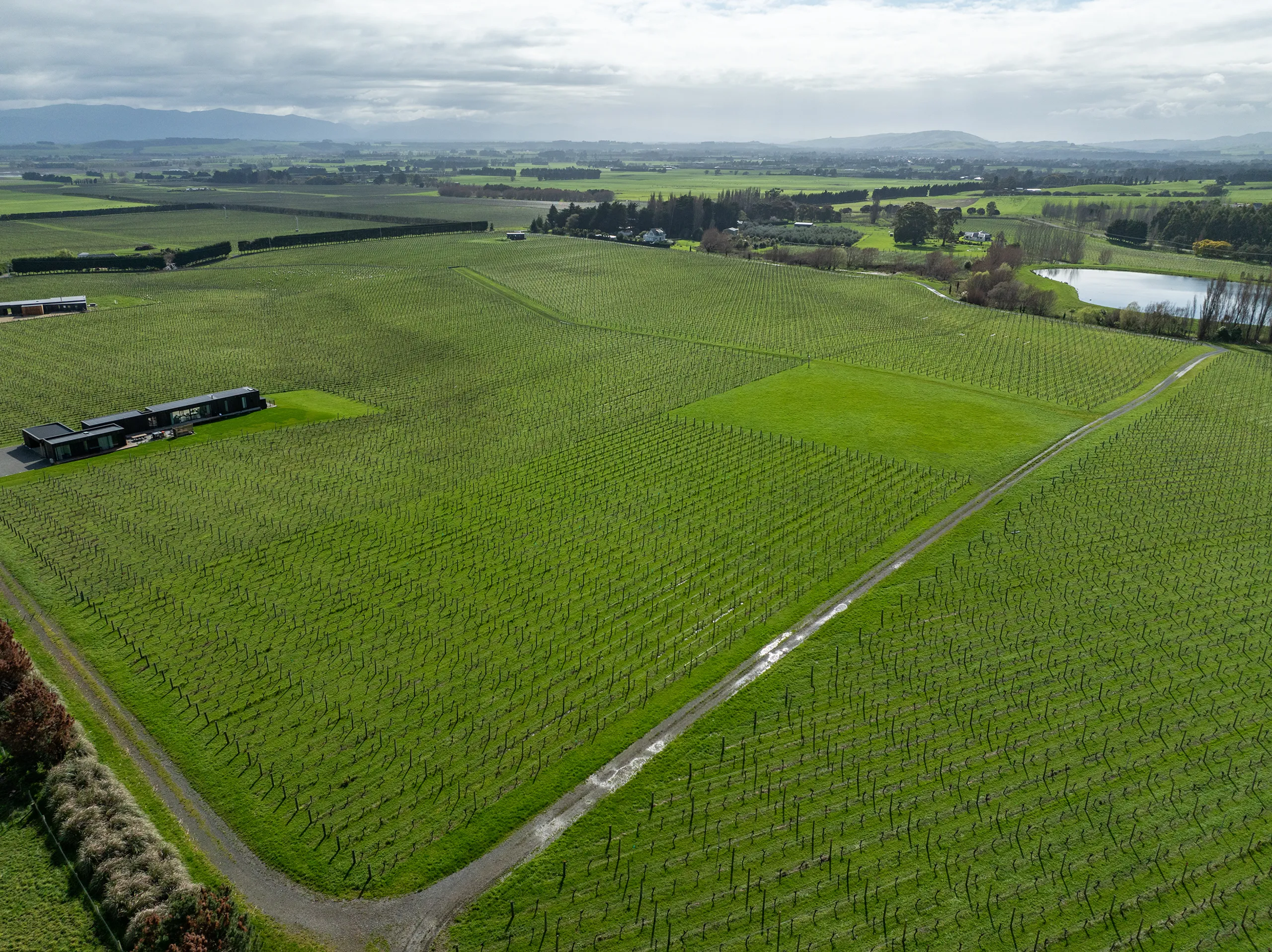 Lot 3 Willow Lane, Martinborough, South Wairarapa