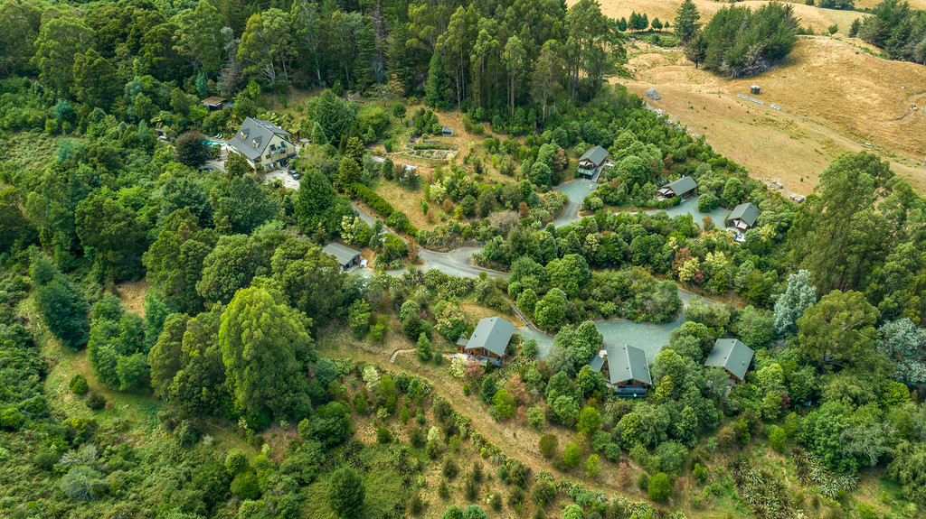 Golden Opportunity - Price Reduced