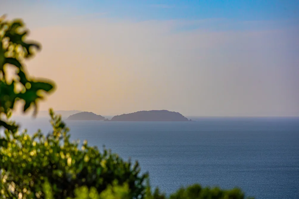 Hope is A Horizon 