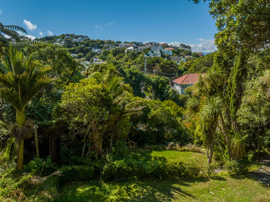 Hidden Gem: Rare Land with Great Potential