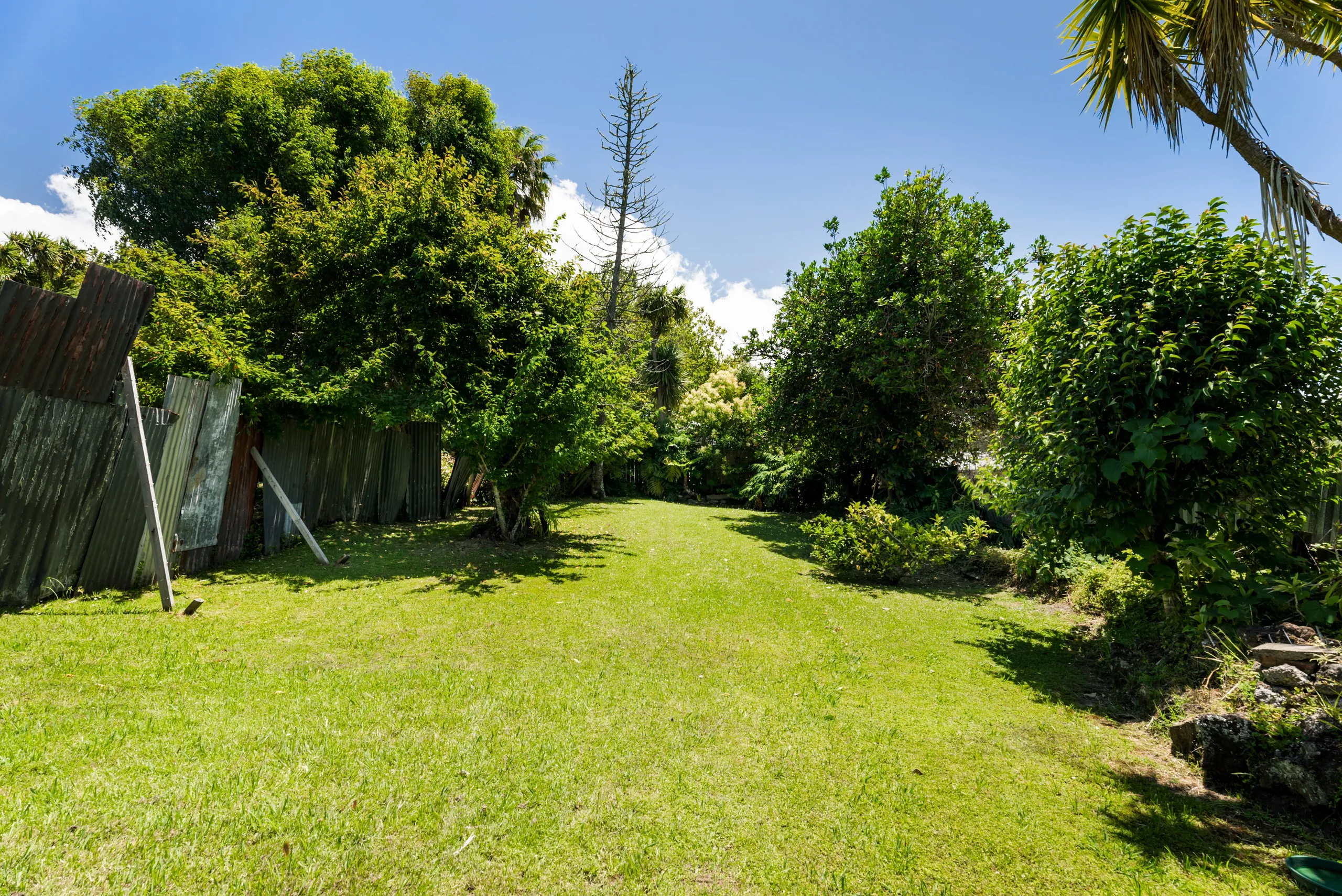 52a Tutanekai Street, Grey Lynn, Auckland City