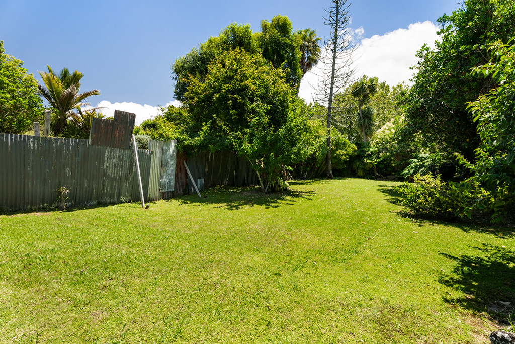 Discover the Possibilities on Tutanekai Street