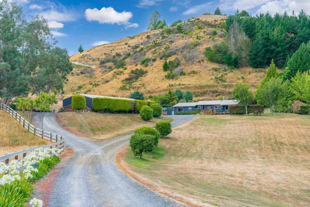 Seriously On The Market!  Vendors On The Move...