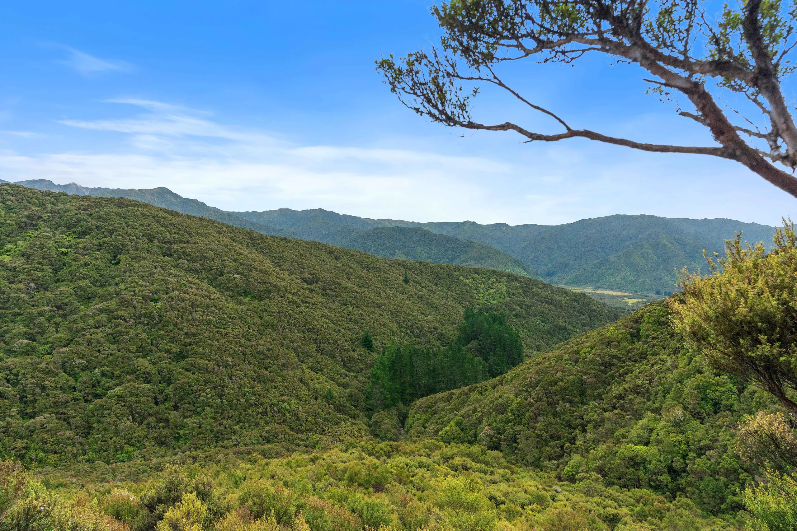 809 Putara Road, Eketahuna, Tararua