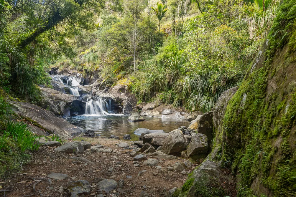 Rapaura Watergardens Seeking New Guardian