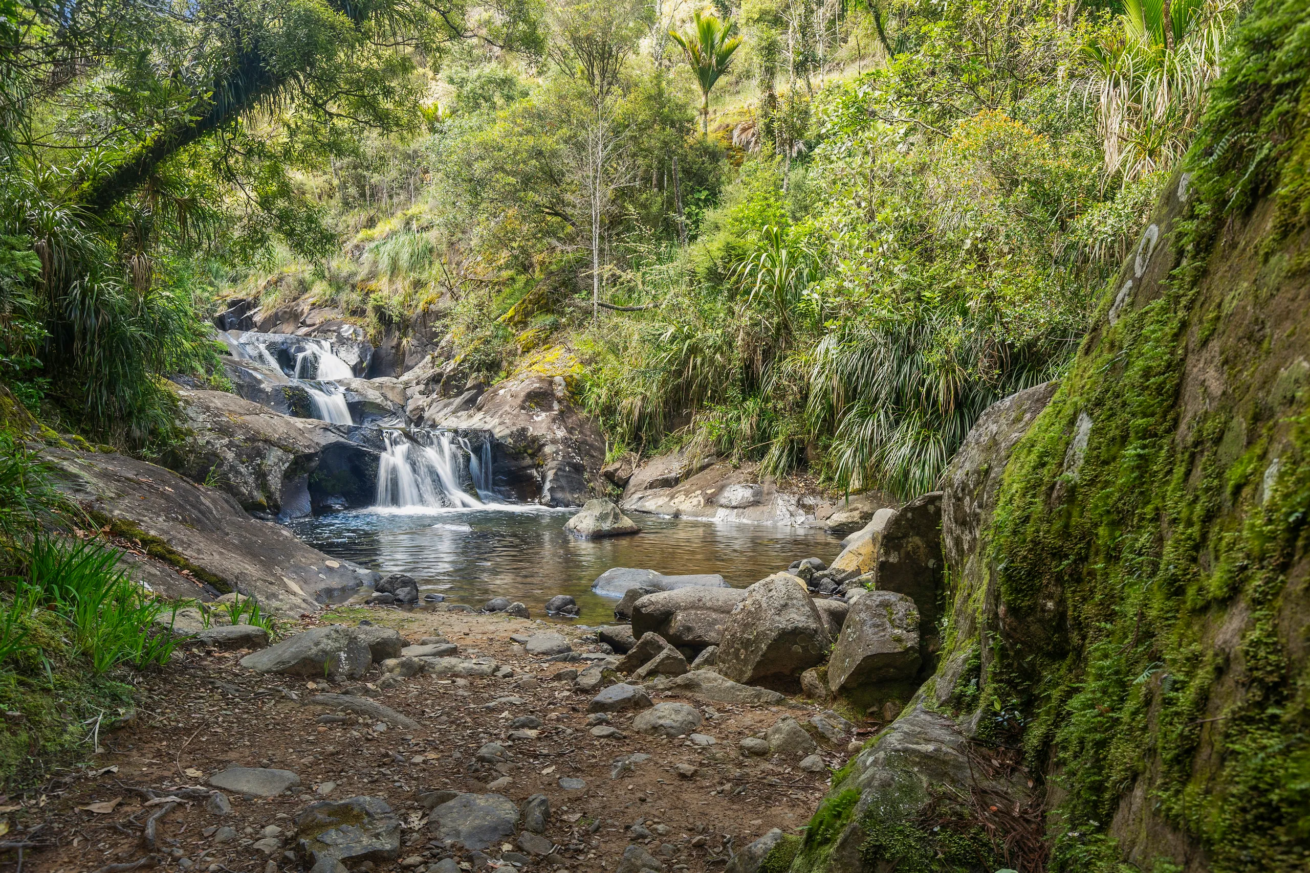 586 Tapu Coroglen Road, Tapu, Thames-Coromandel