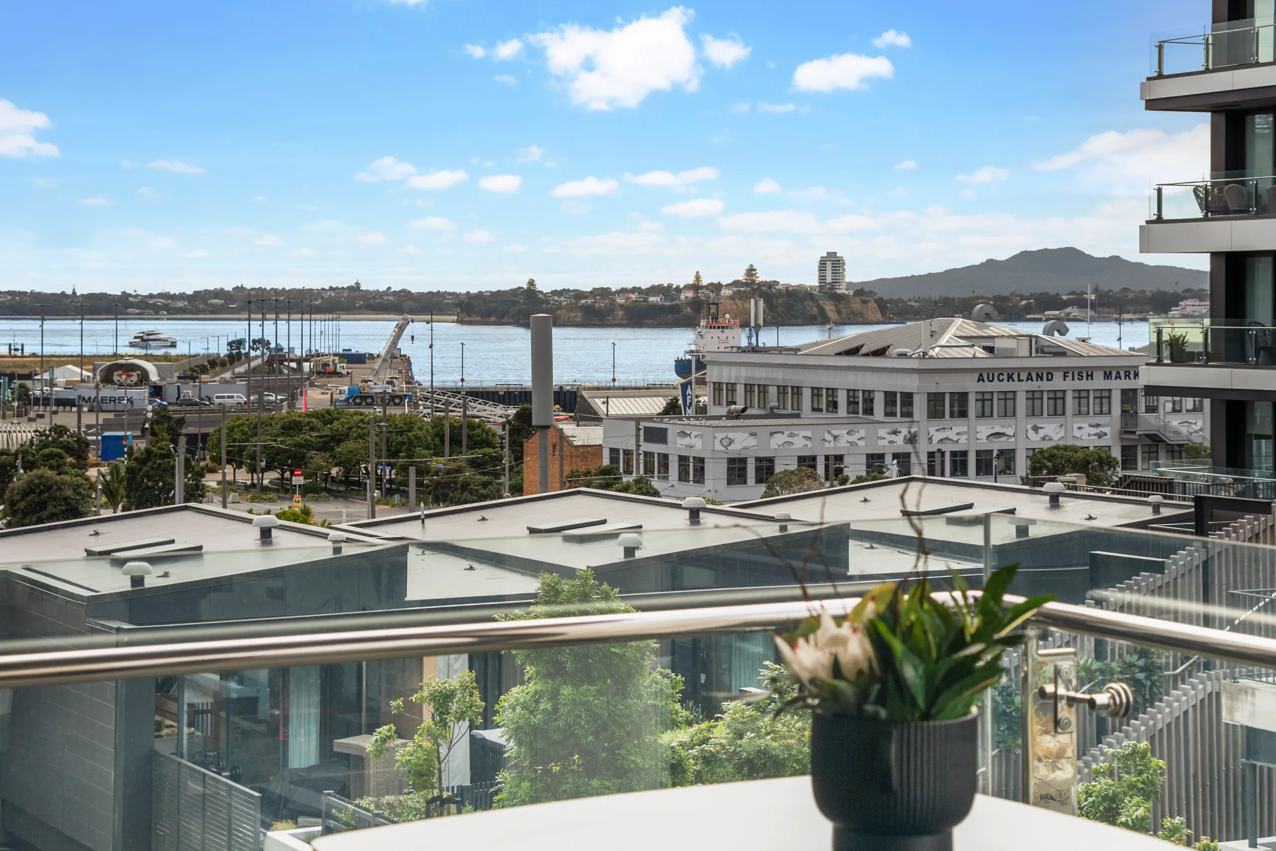 401/155 Beaumont Street, Auckland Central, Auckland City