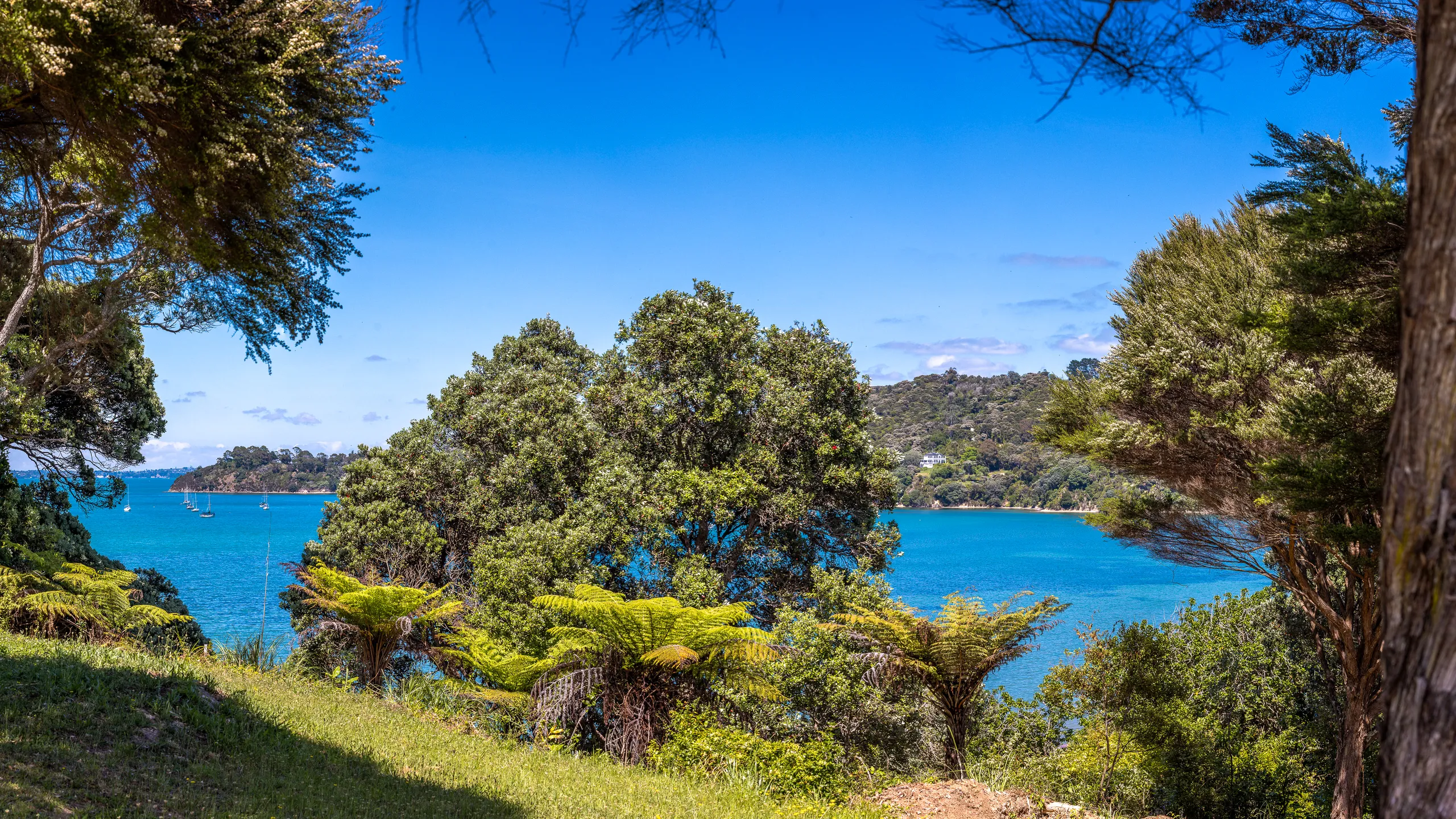 65C Makora Avenue, Oneroa, Waiheke Island