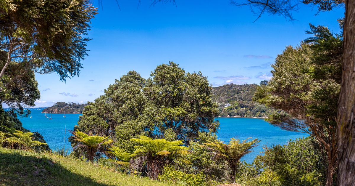 65C Makora Avenue, Oneroa, Waiheke Island | NZ Sotheby’s Realty | WAG10982