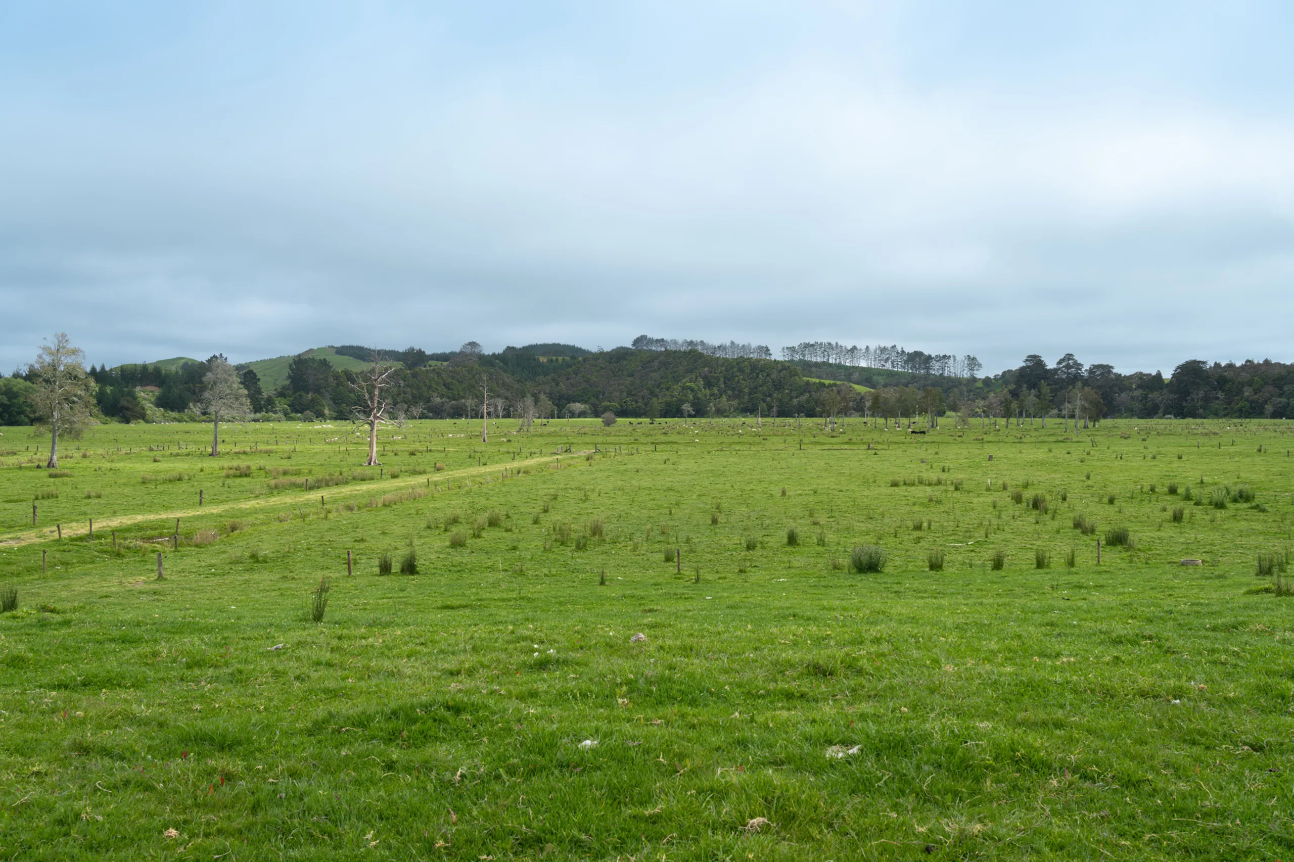 State Highway 14, Tangiteroria, Kaipara