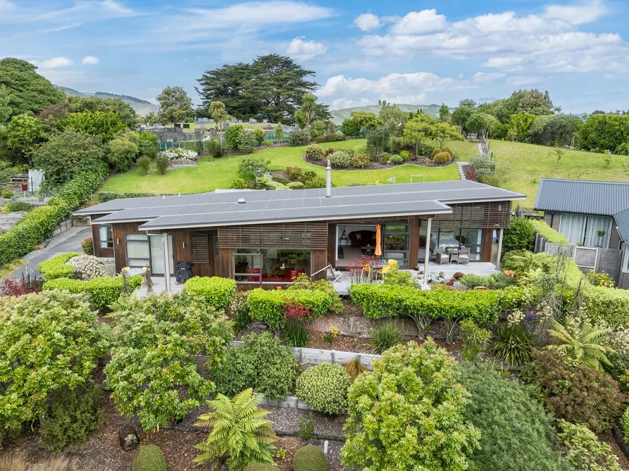 Elevated Sanctuary